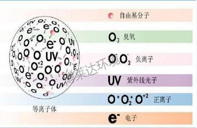 等离子体组成