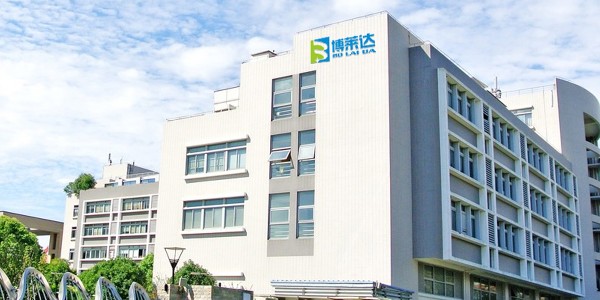 焚烧炉烟气脱硝工艺