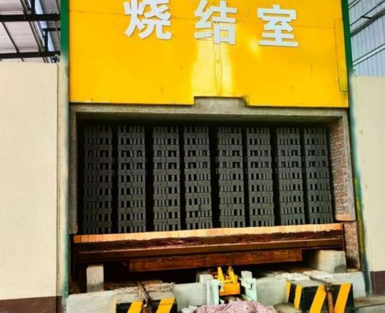 8.11商丘睢县砖厂隧道窑SCR脱硝踏勘 (1)