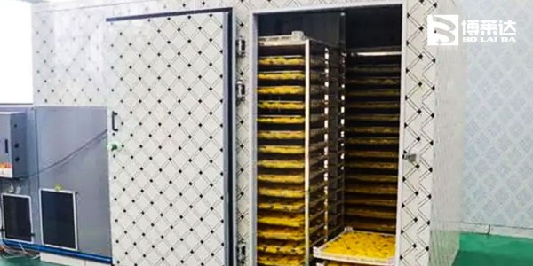 食品烘干尾气脱白设备